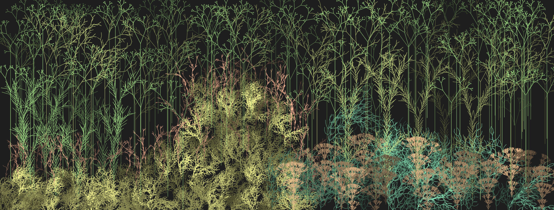 L-System Drawing 2